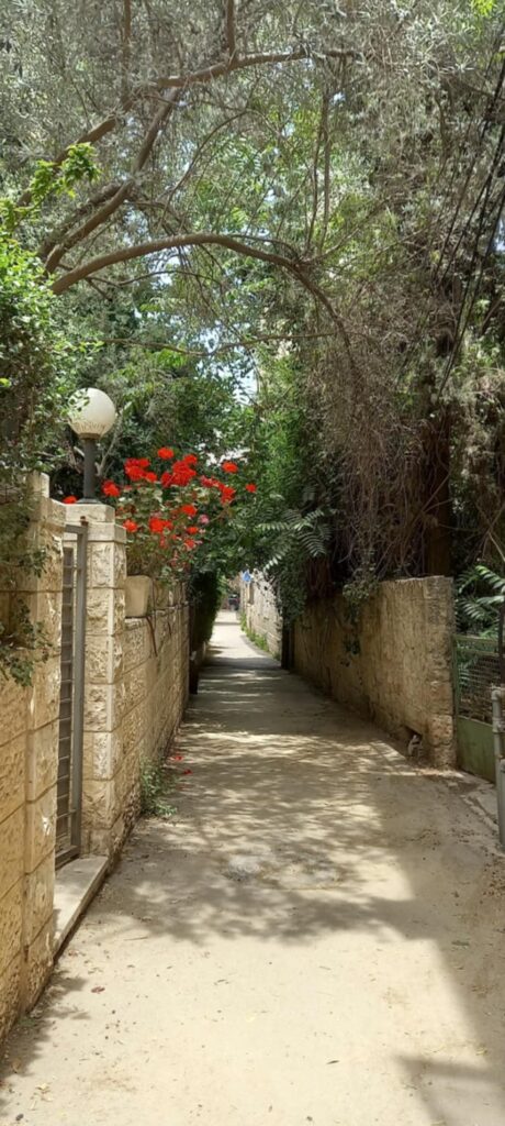 Jerusalem Love Song