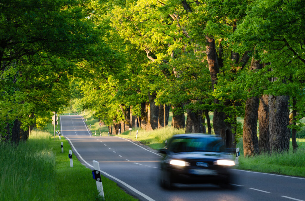 Country Roads