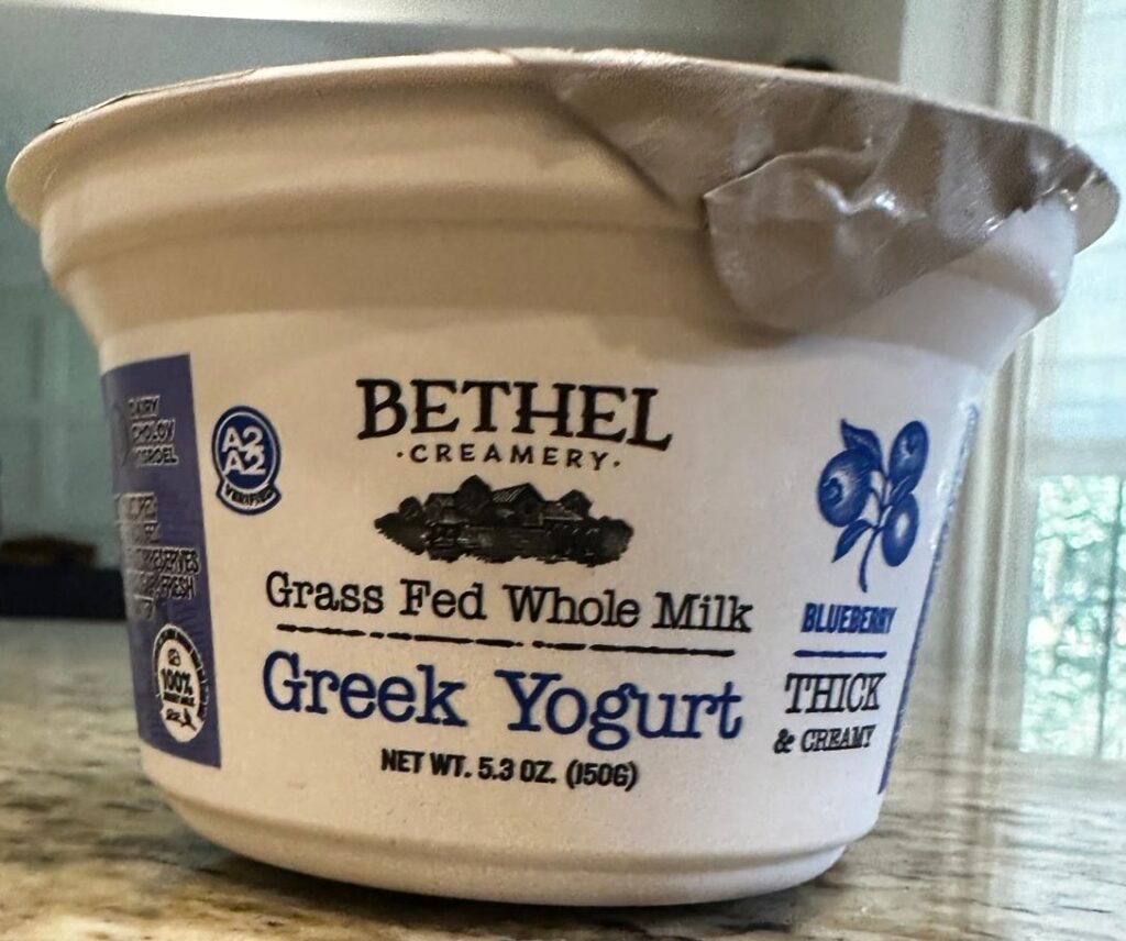 Blueberry Yogurt