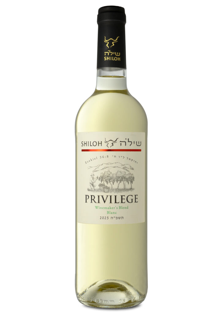 Refreshing Wines To Start Afresh